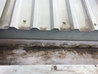 cleared box guttering
